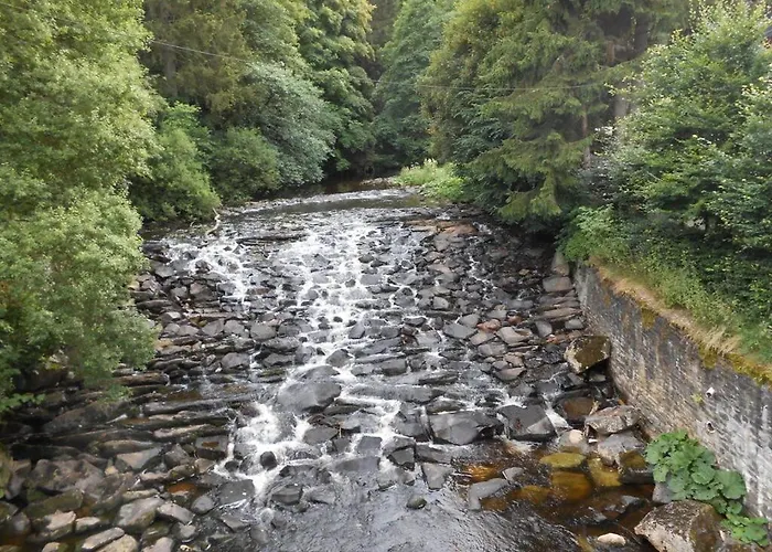 Dream View 2 Appartement *